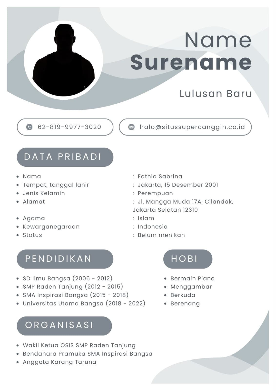 Template CV Two-Tone Soft